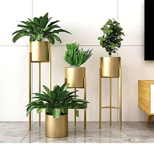 Plant pots & stands